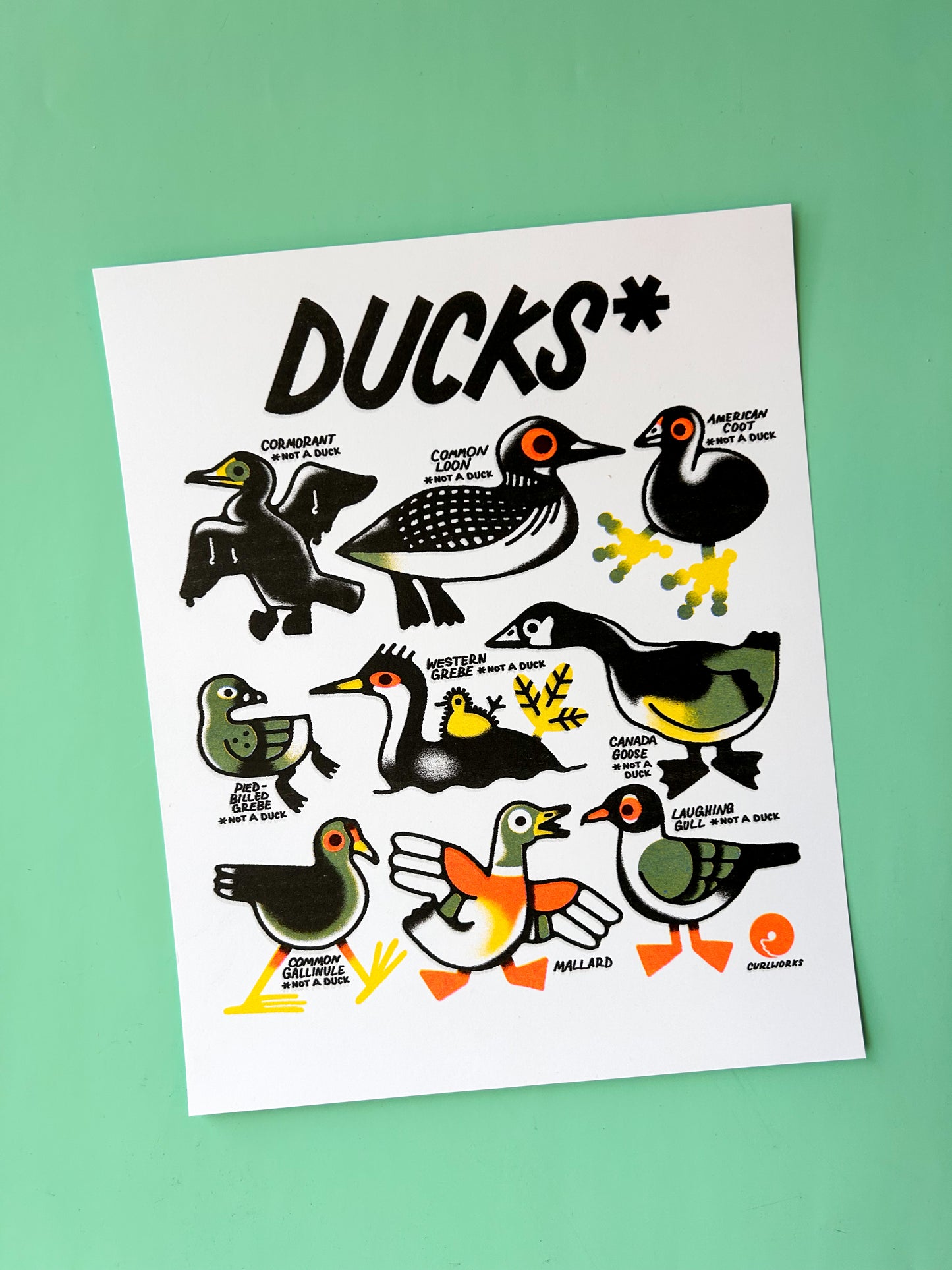 Ducks* Risograph Print
