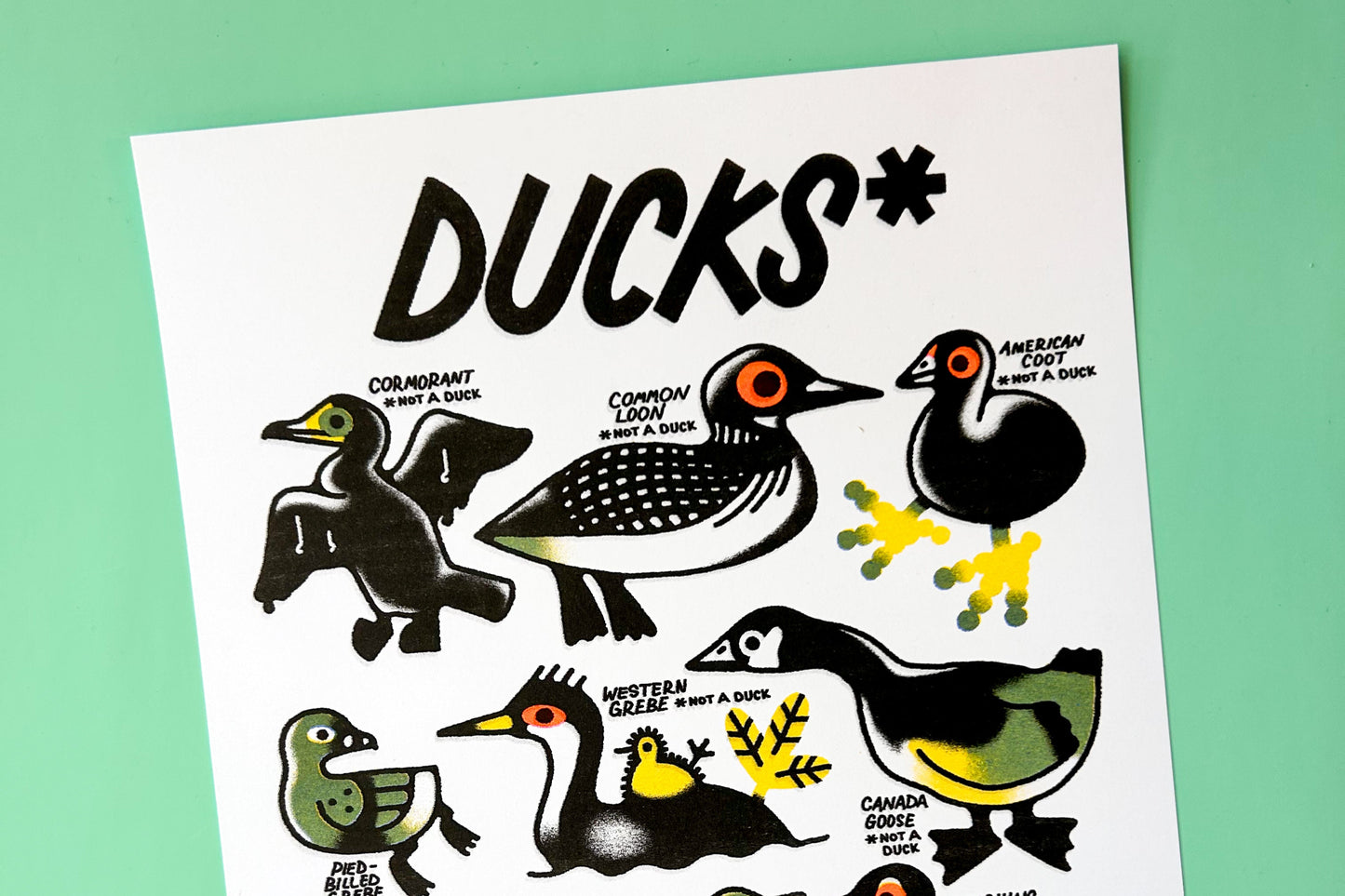 Ducks* Risograph Print
