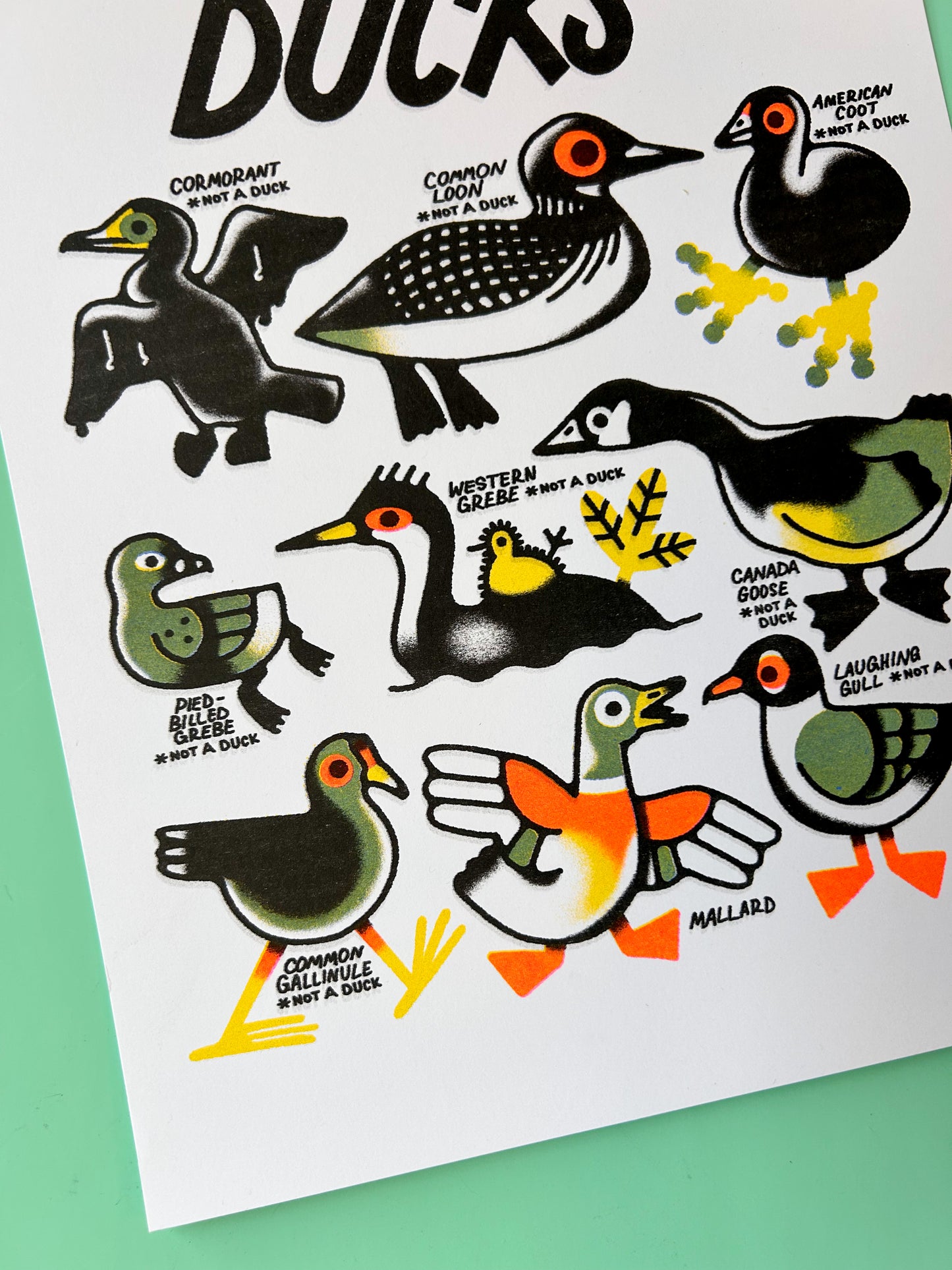Ducks* Risograph Print
