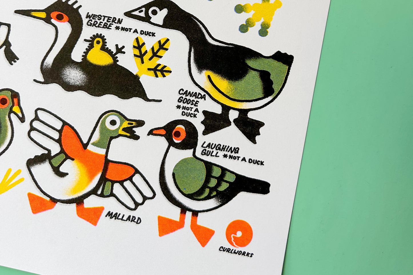 Ducks* Risograph Print