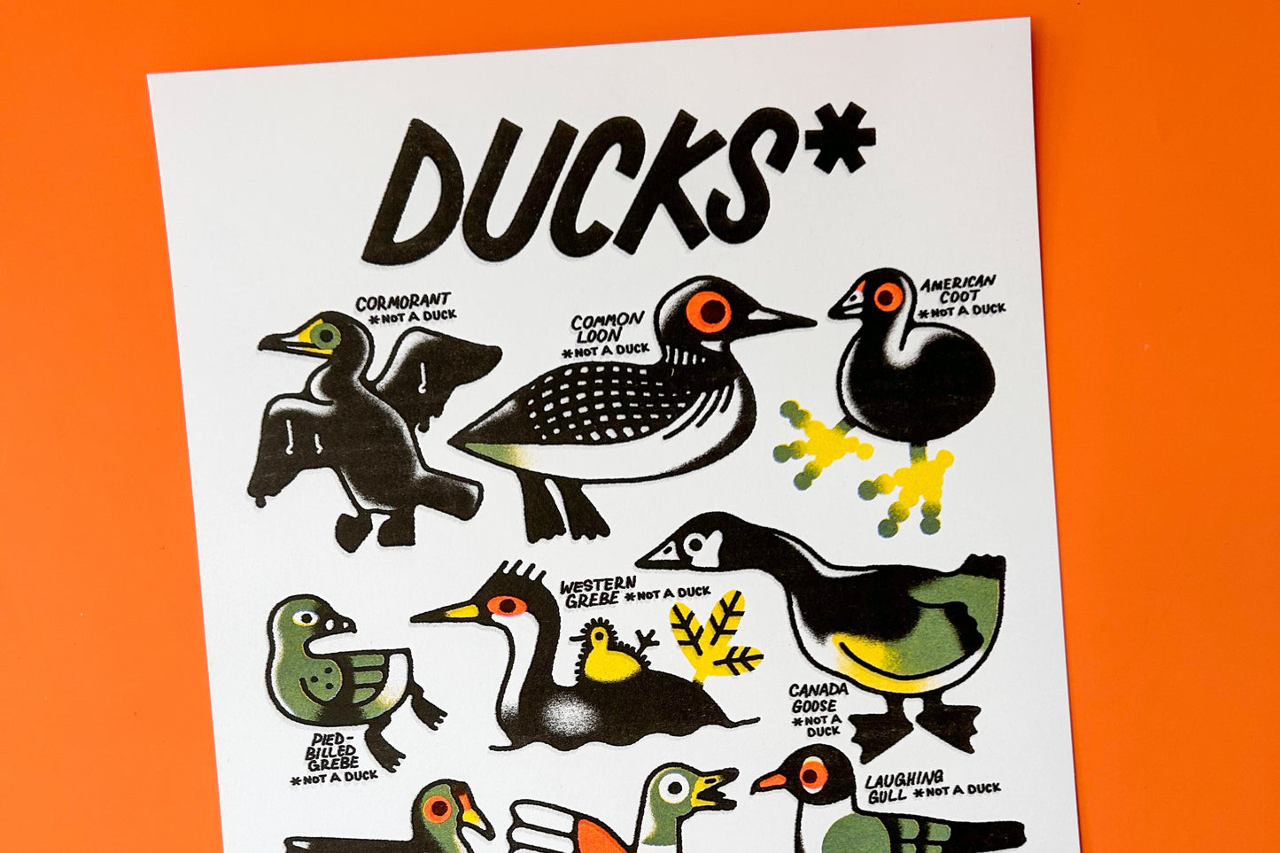 Ducks* Risograph Print