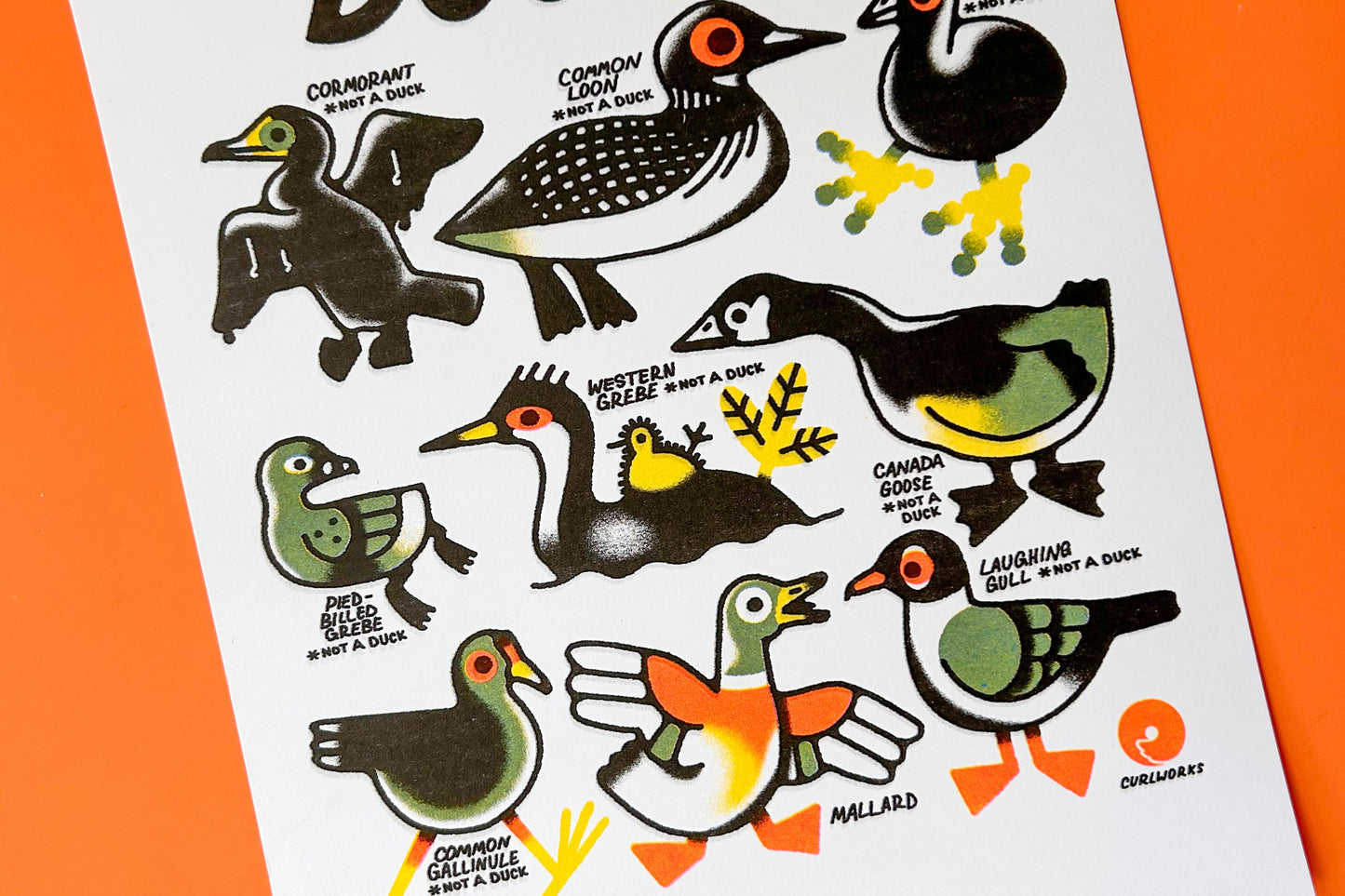 Ducks* Risograph Print