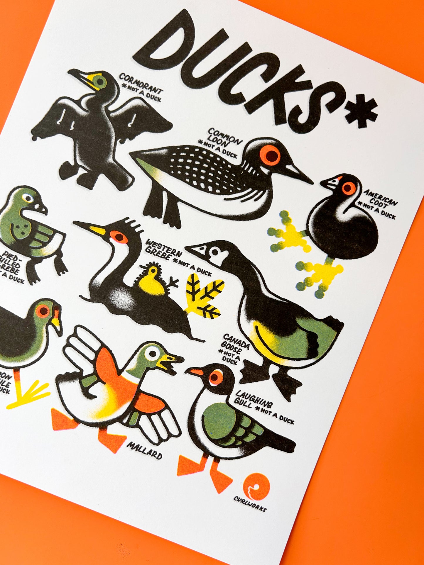 Ducks* Risograph Print