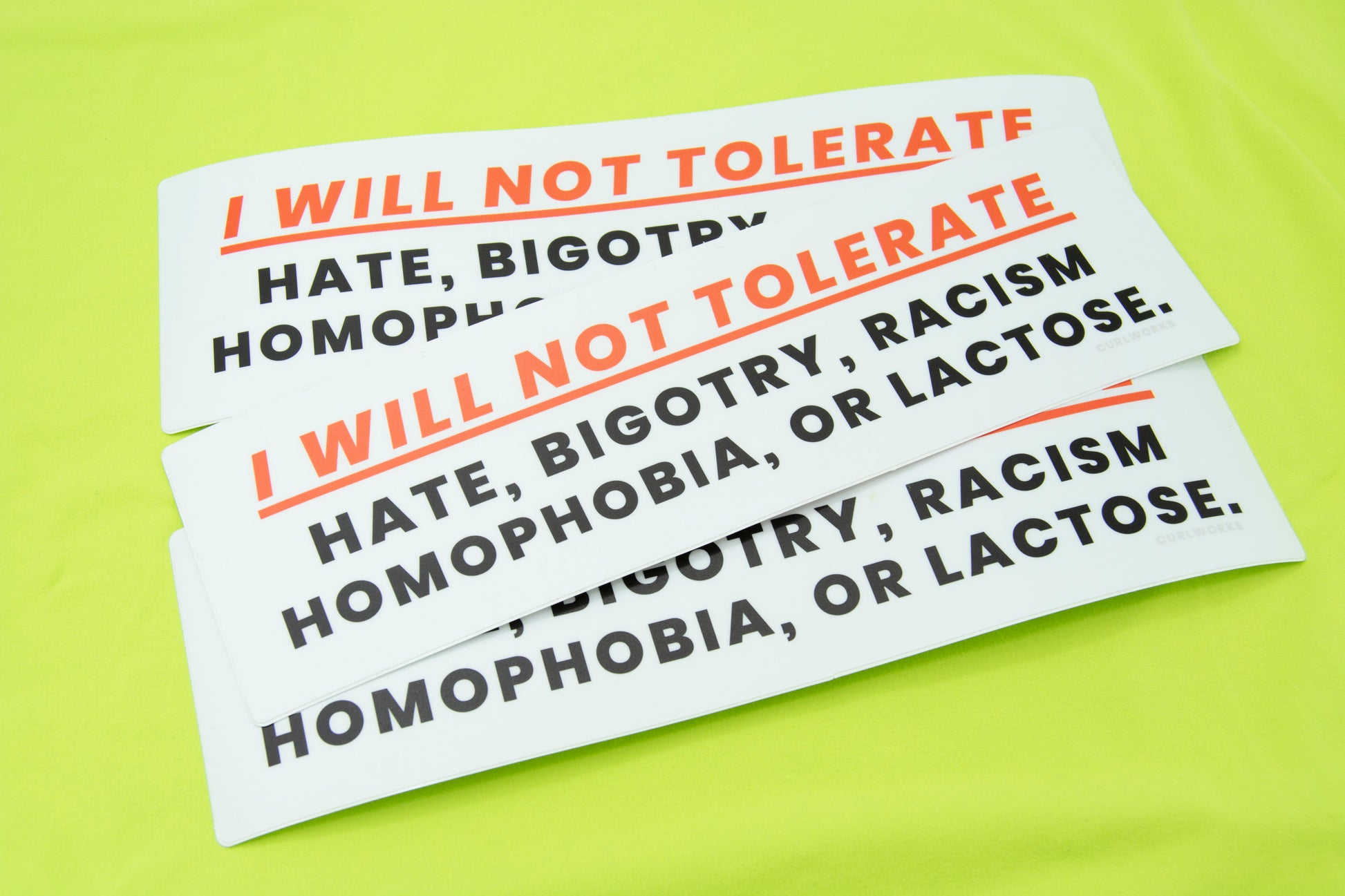 I WILL NOT TOLERATE: Hate, Bigotry, Racism, Homophobia, or Lactose Bumper Sticker