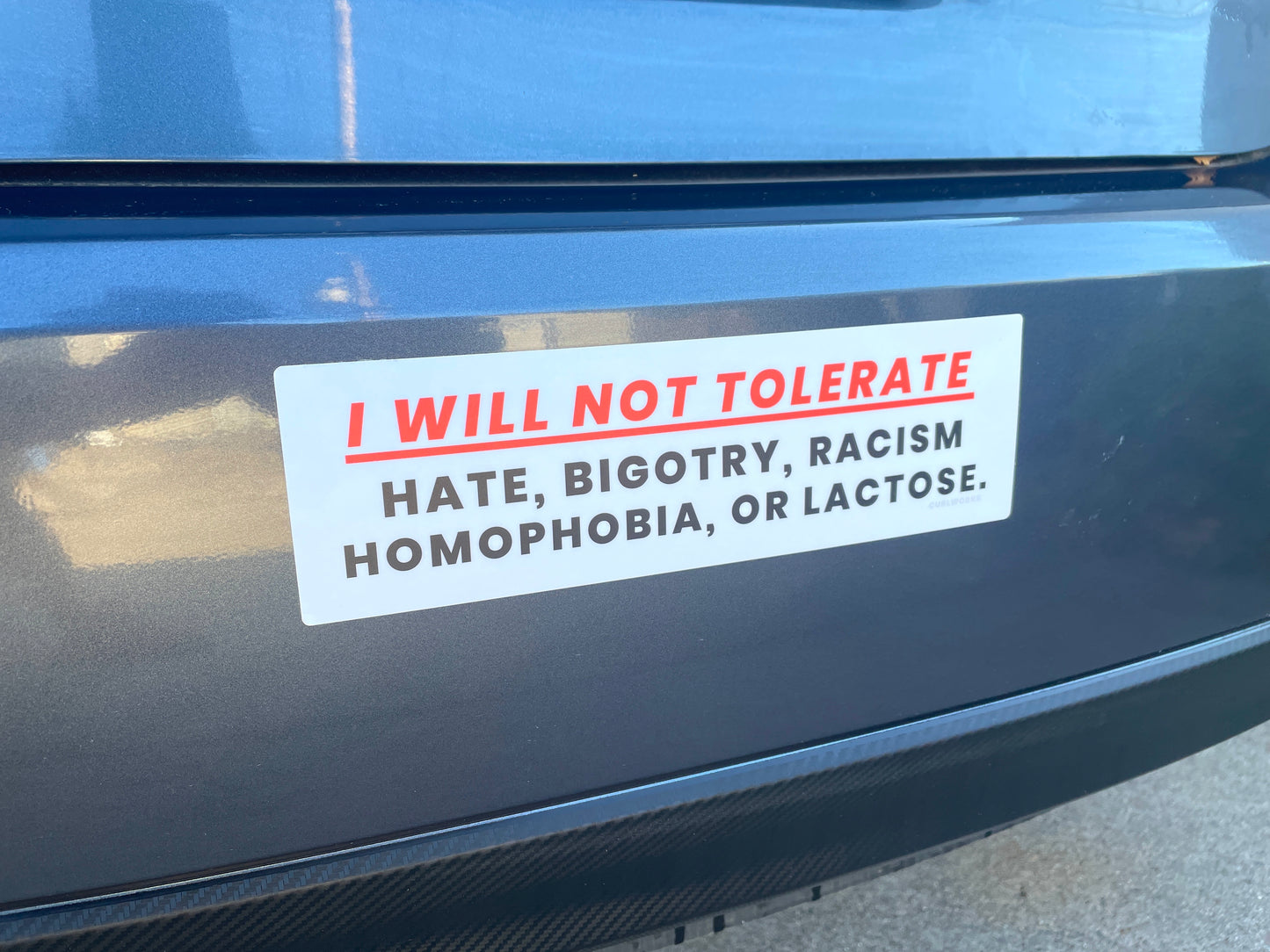 I WILL NOT TOLERATE: Hate, Bigotry, Racism, Homophobia, or Lactose Bumper Sticker