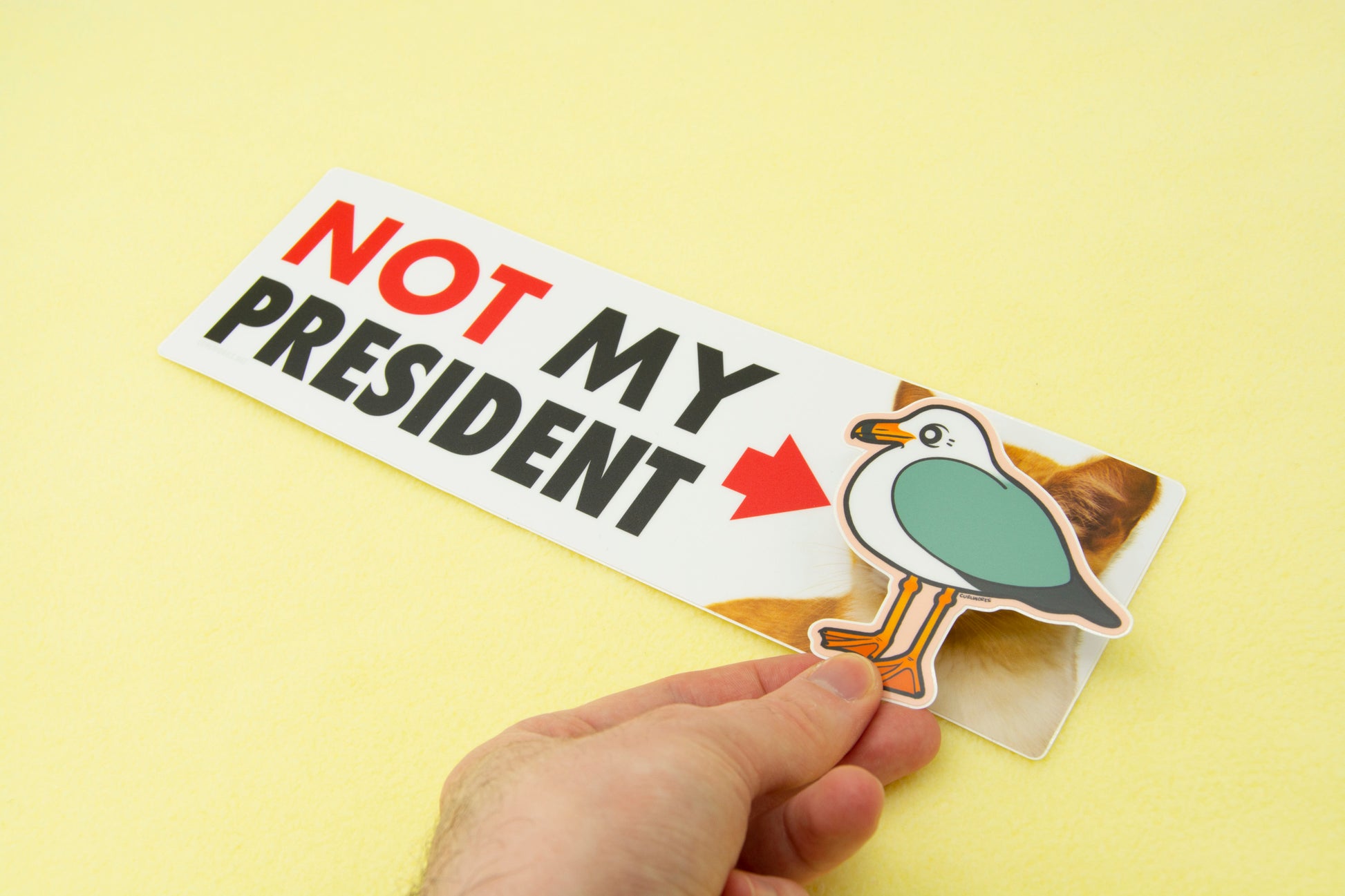 NOT My President Vinyl Bumper Sticker