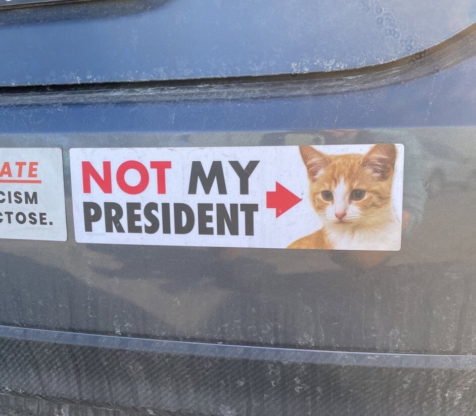 NOT My President Vinyl Bumper Sticker