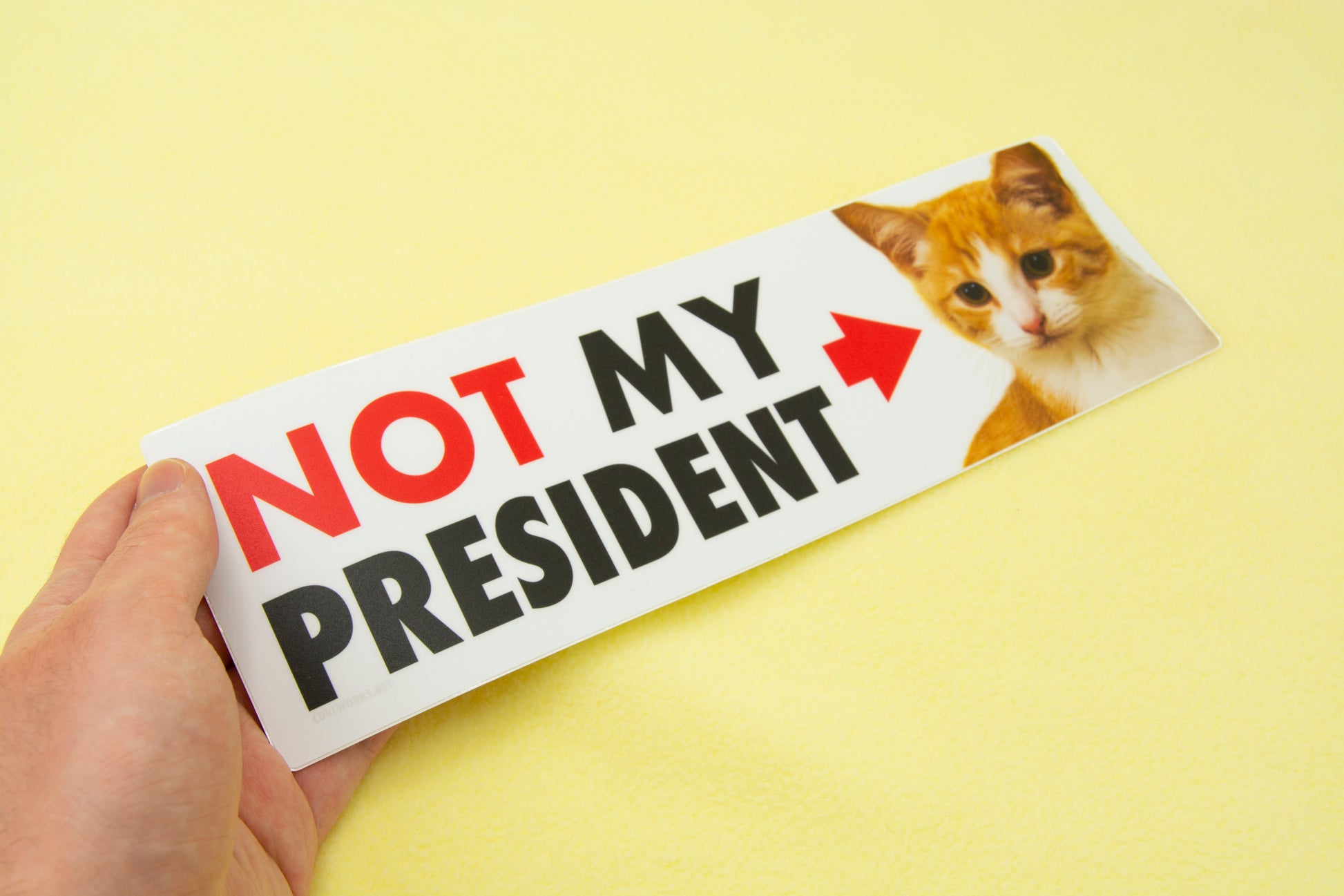 NOT My President Vinyl Bumper Sticker