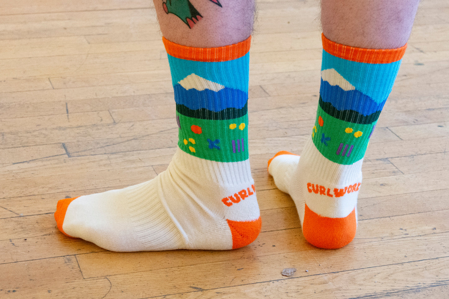 Mountain Landscape Socks