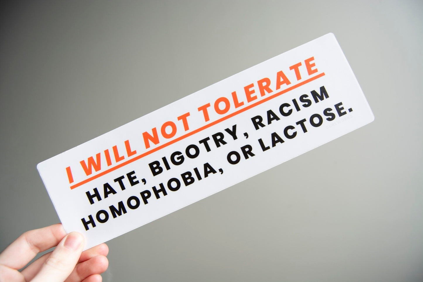 I WILL NOT TOLERATE: Hate, Bigotry, Racism, Homophobia, or Lactose Bumper Sticker