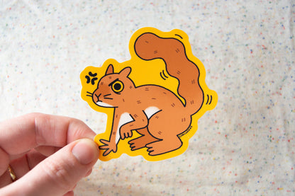 Angry Squirrel Vinyl Sticker