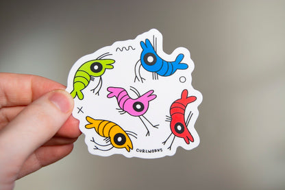 Funky Shrimp Vinyl Sticker