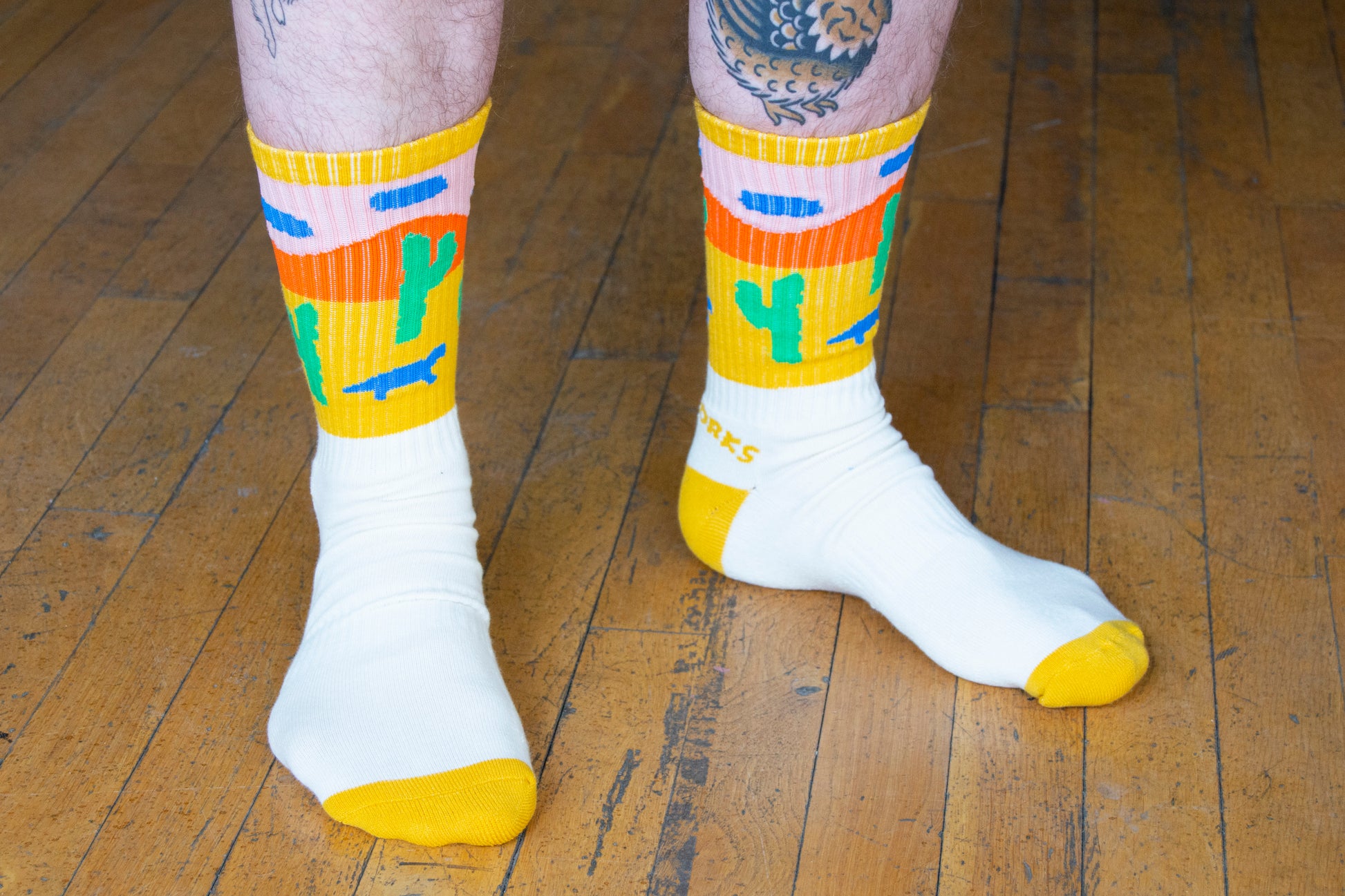 Painted Desert Landscape Socks