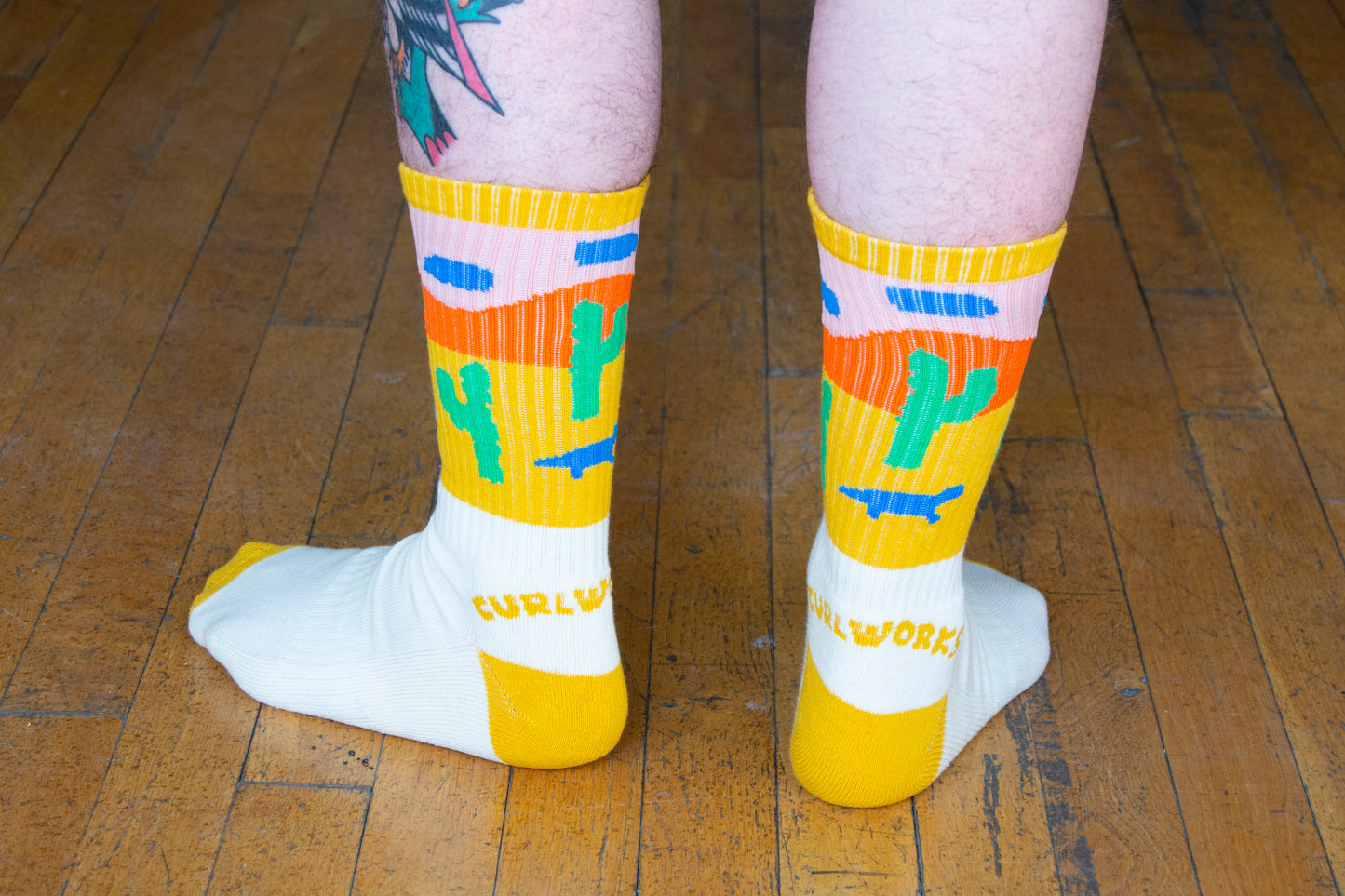 Painted Desert Landscape Socks