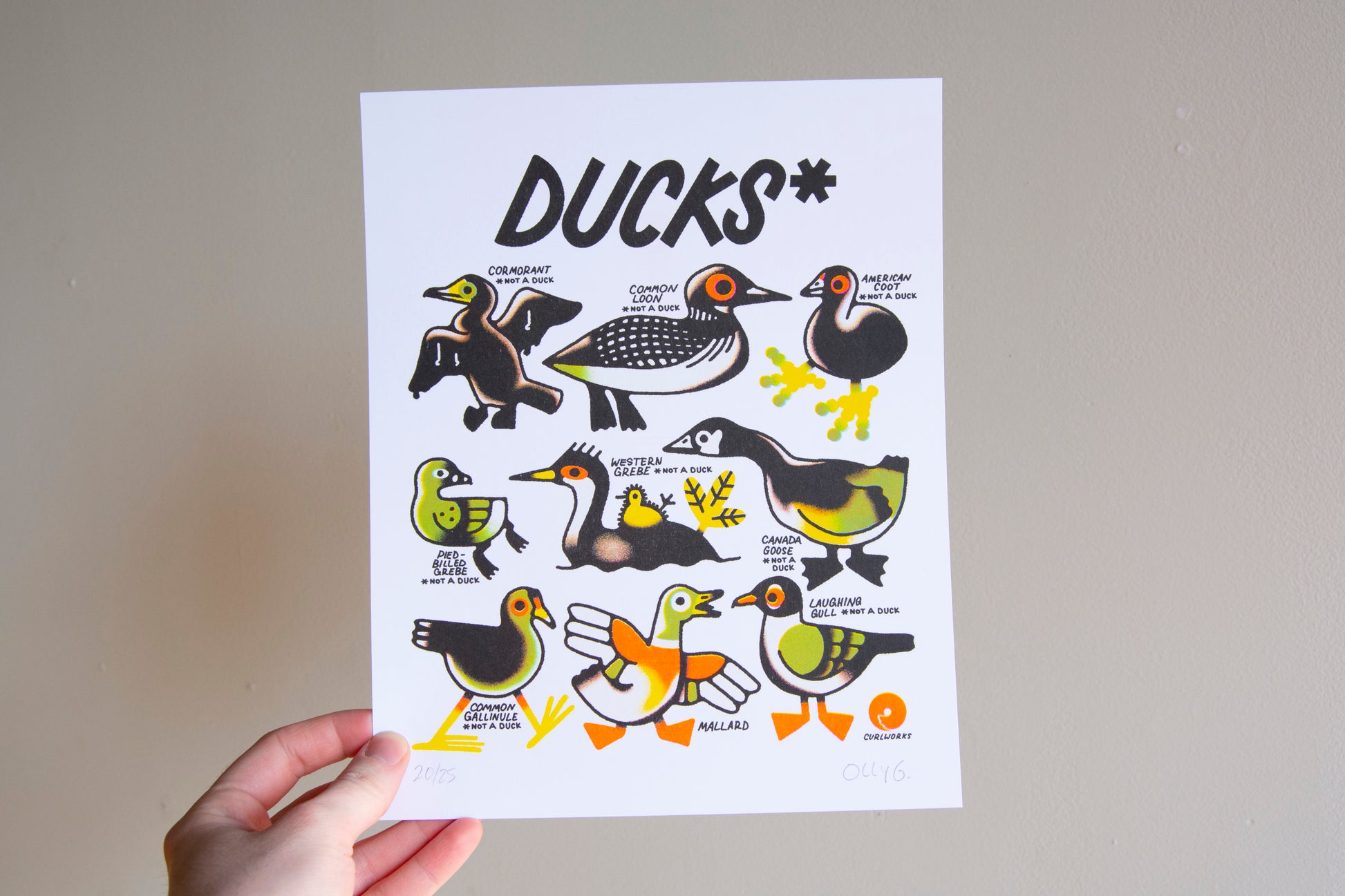 Ducks* Risograph Print