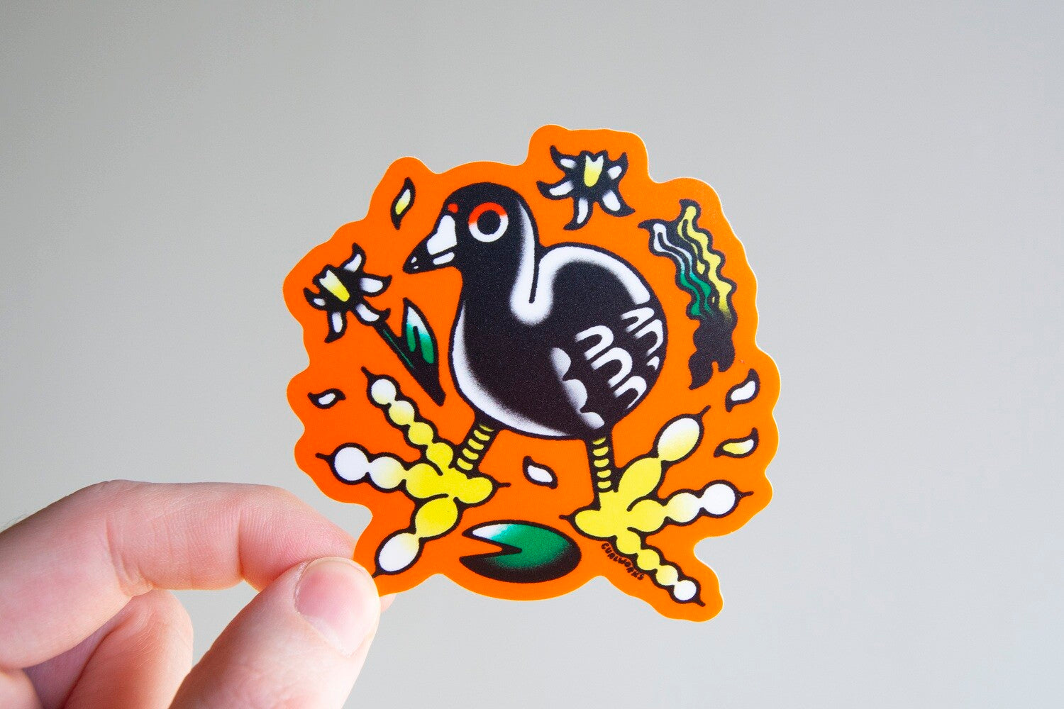 American Coot Vinyl Sticker