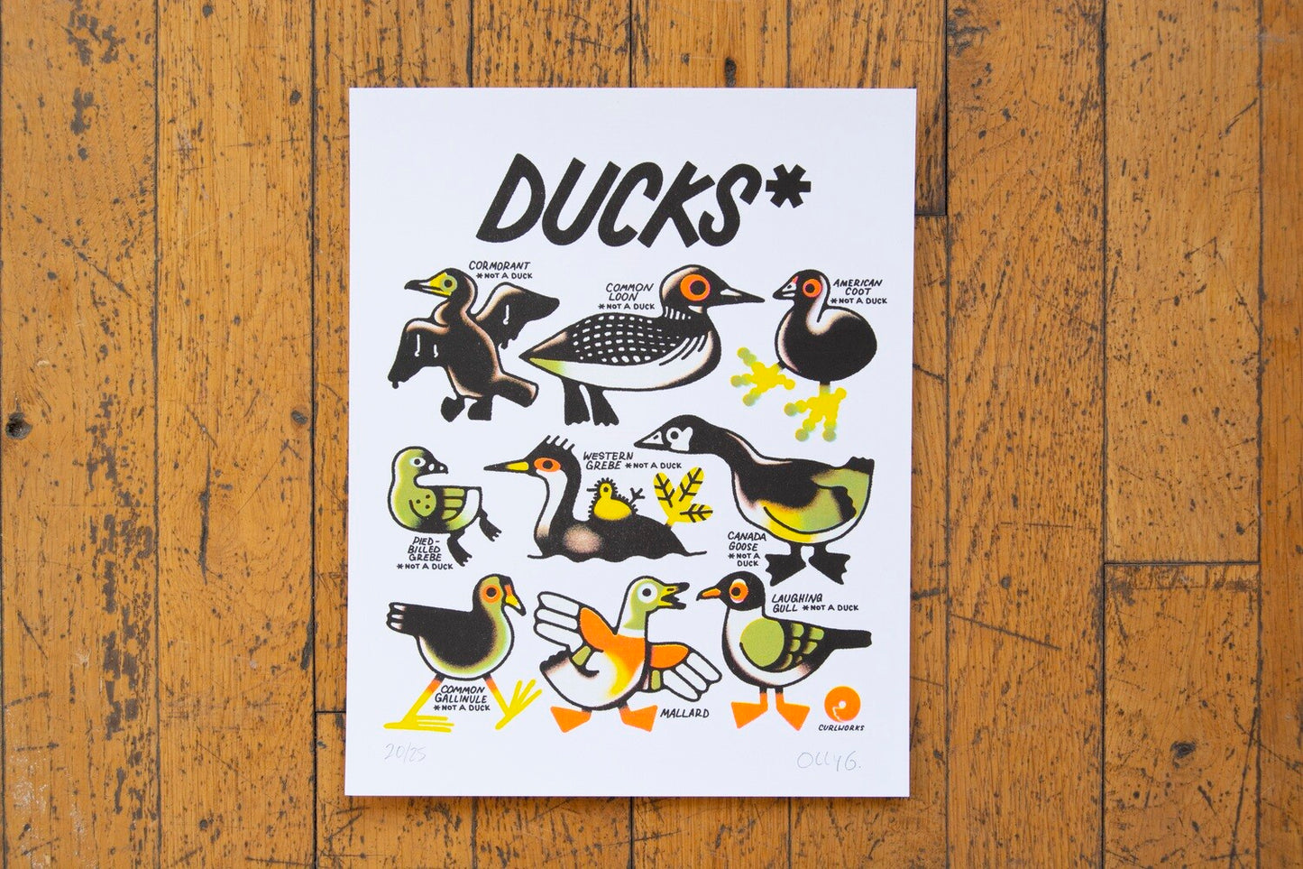 Ducks* Risograph Print