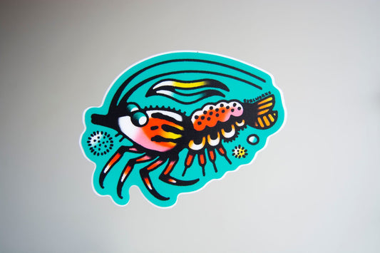 Teal Shrimp Vinyl Sticker