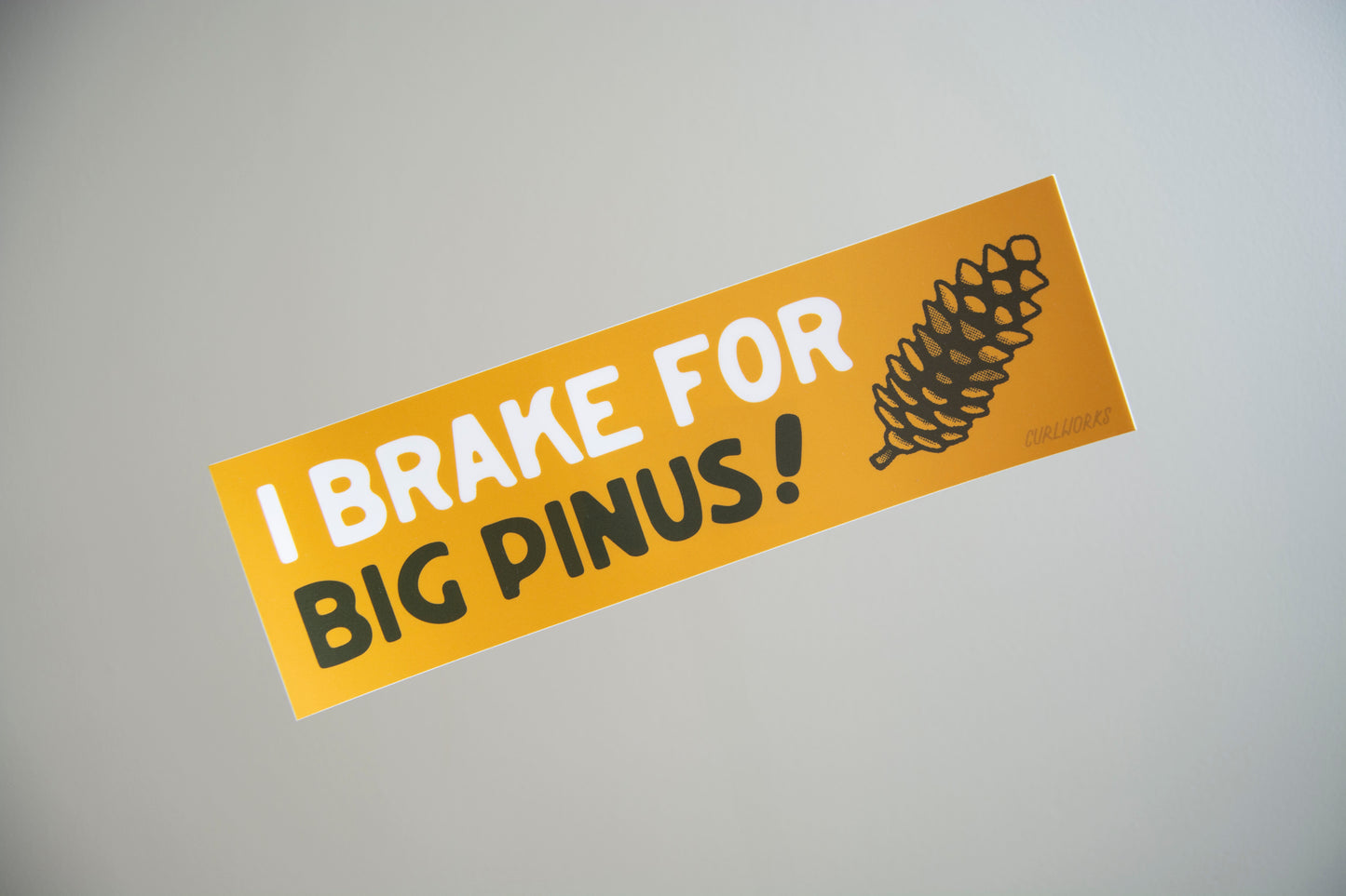 I Brake for Big Pinus Vinyl Bumper Sticker