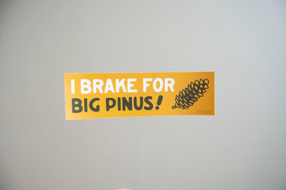 I Brake for Big Pinus Vinyl Bumper Sticker