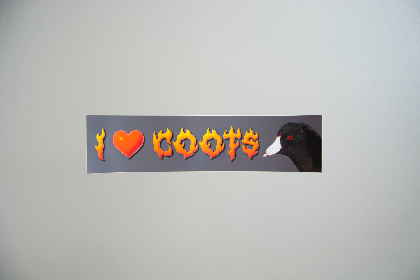 I Heart Coots Vinyl Bumper Sticker