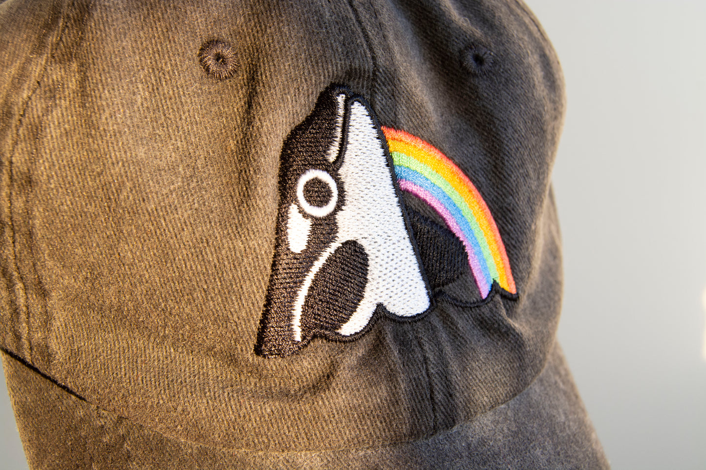 Stronger Together Orca Whale Rainbow Hat