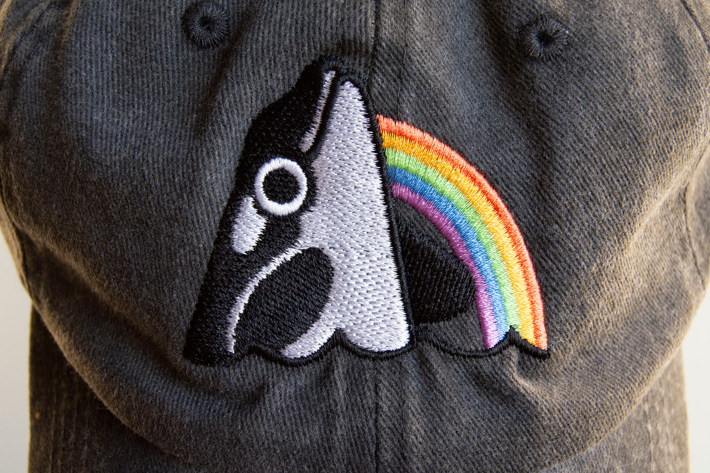 Stronger Together Orca Whale Rainbow Hat