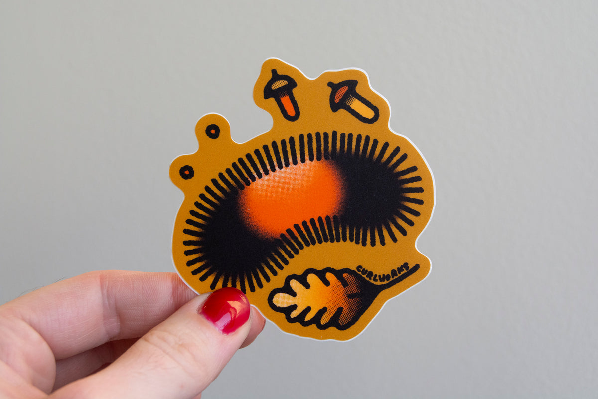 Wollo Sticker Wooly Bear Vinyl Sticker – Curlworks