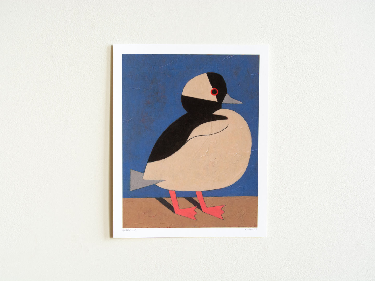 Bufflehead Print