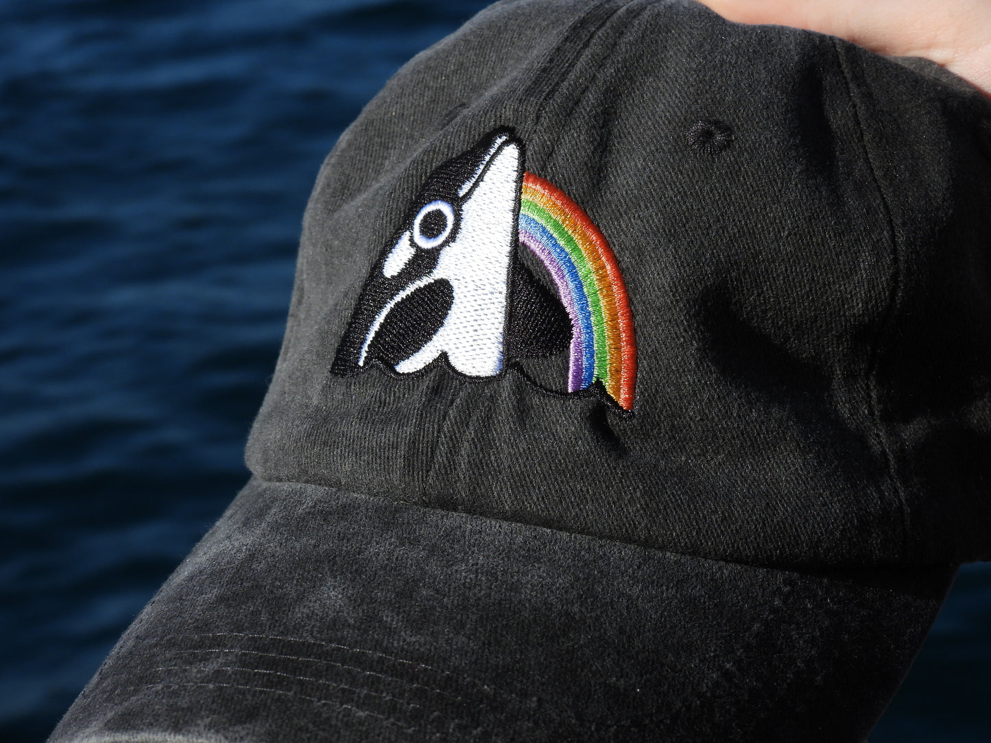 Stronger Together Orca Whale Rainbow Hat