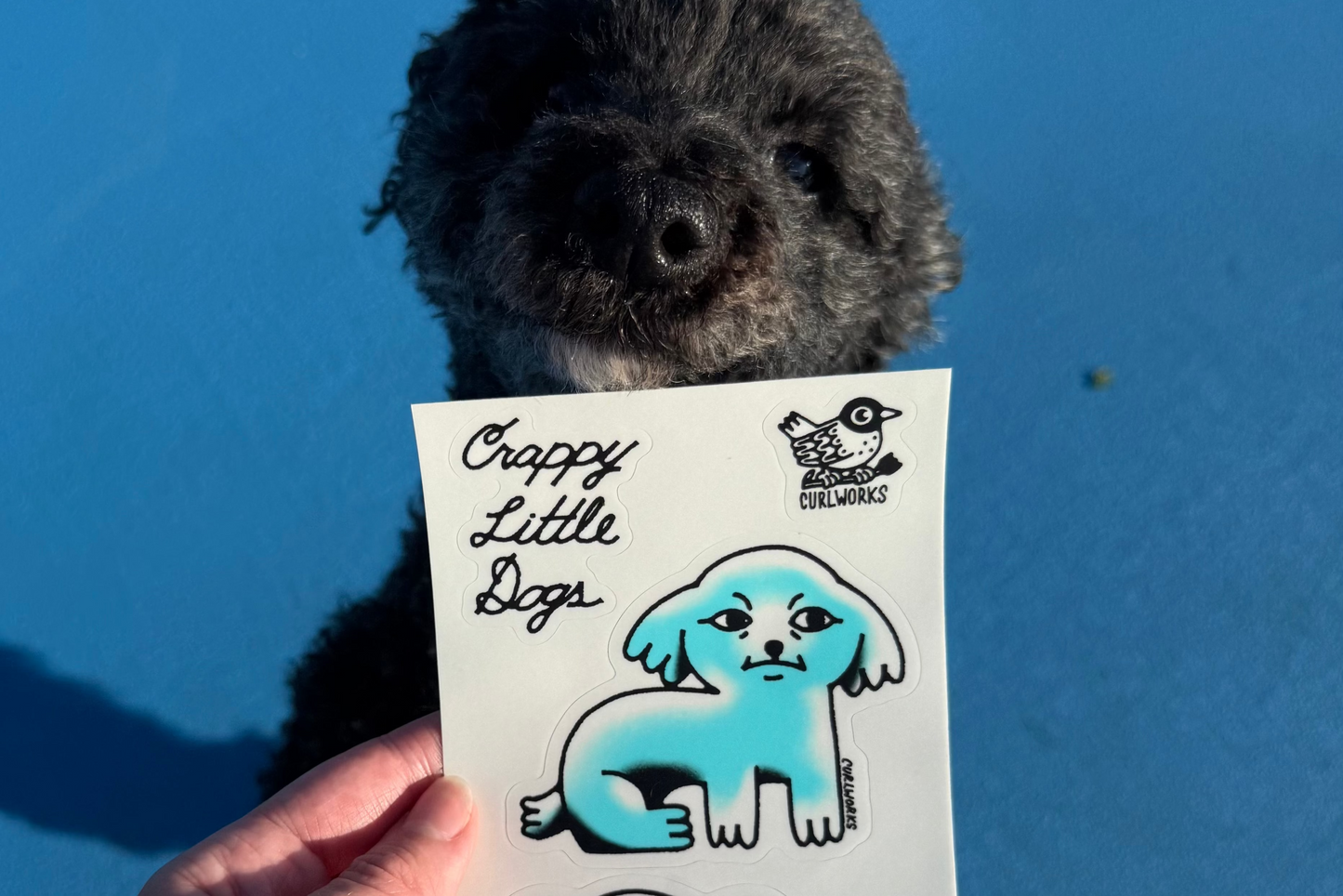 Crappy Little Dogs Sticker Sheet