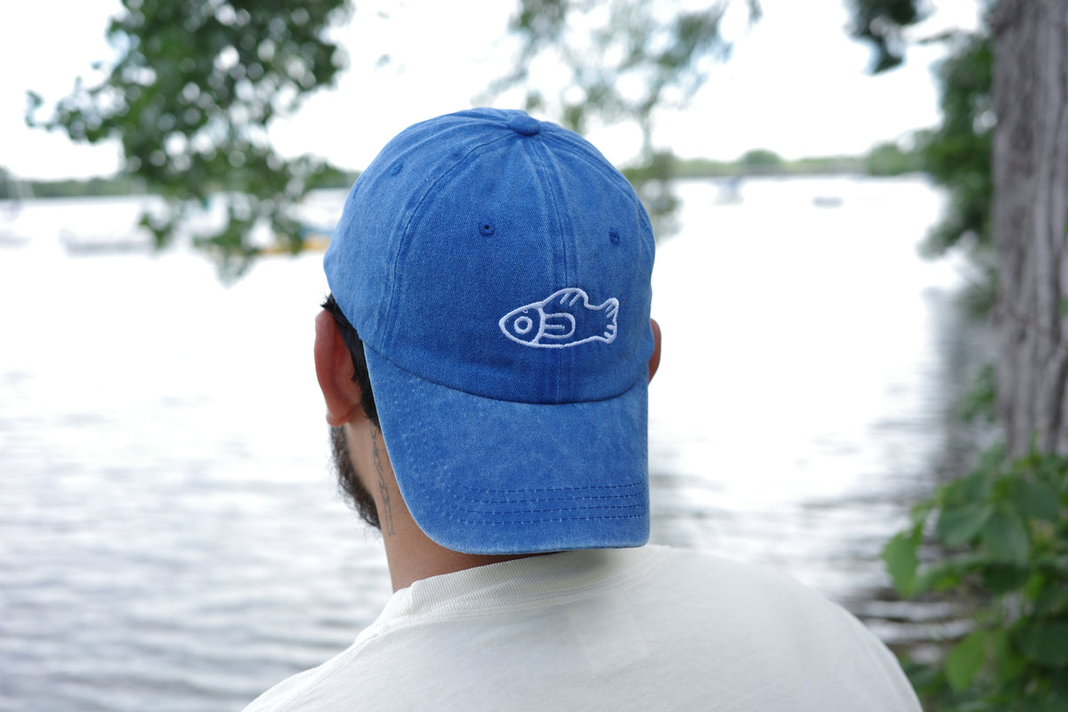 Fish Hat